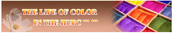 Pigment