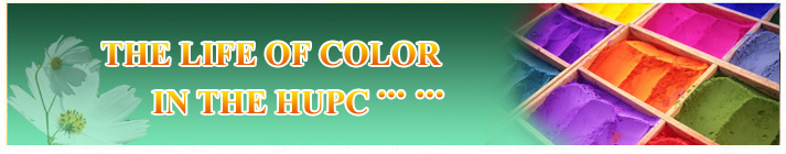 Pigment