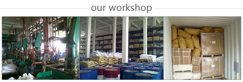 HUPC WORKSHOP